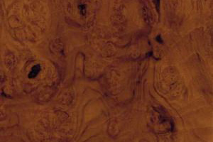 Burl Walnut