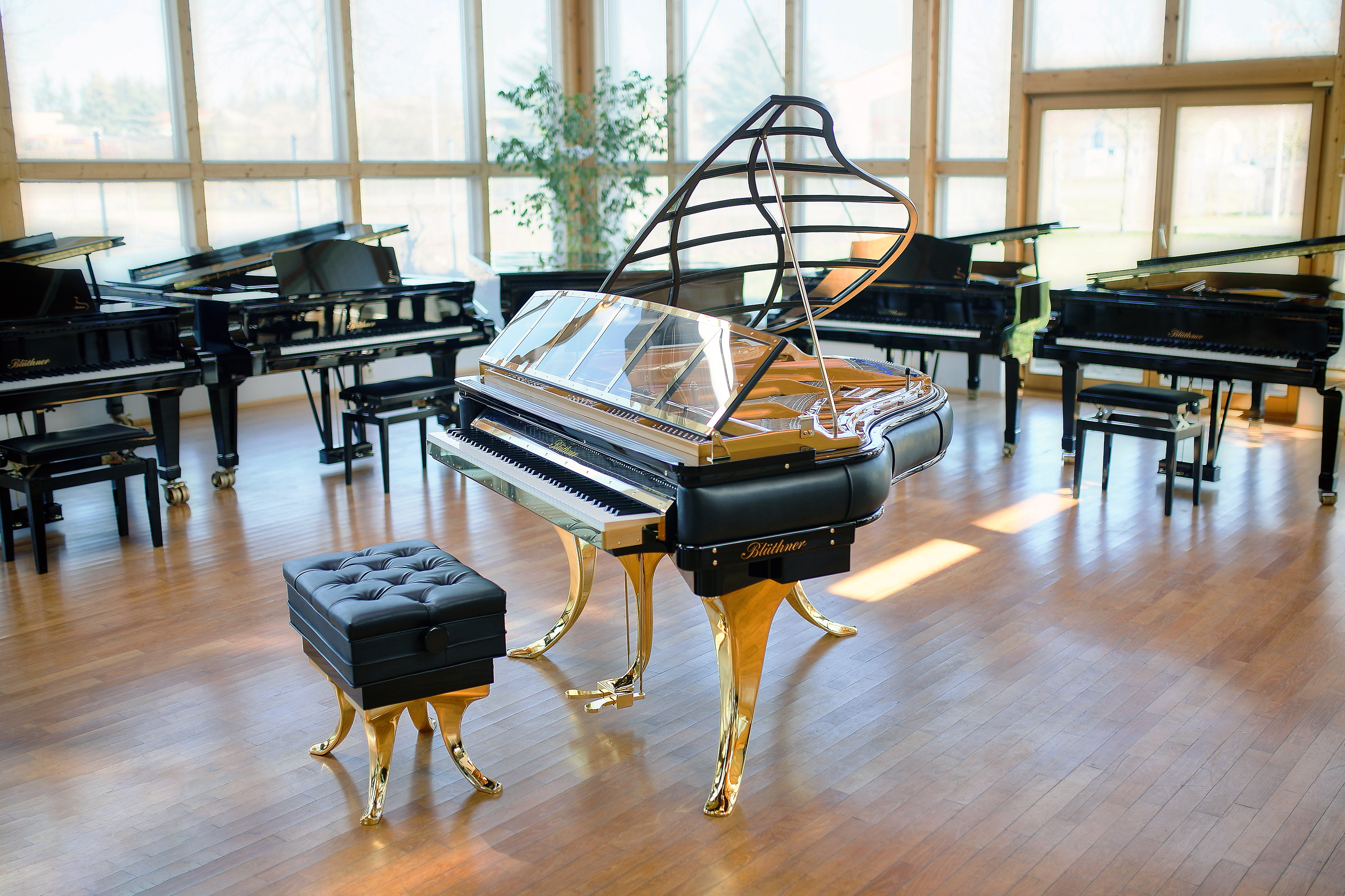 Bluthner PH Edition Grand Piano