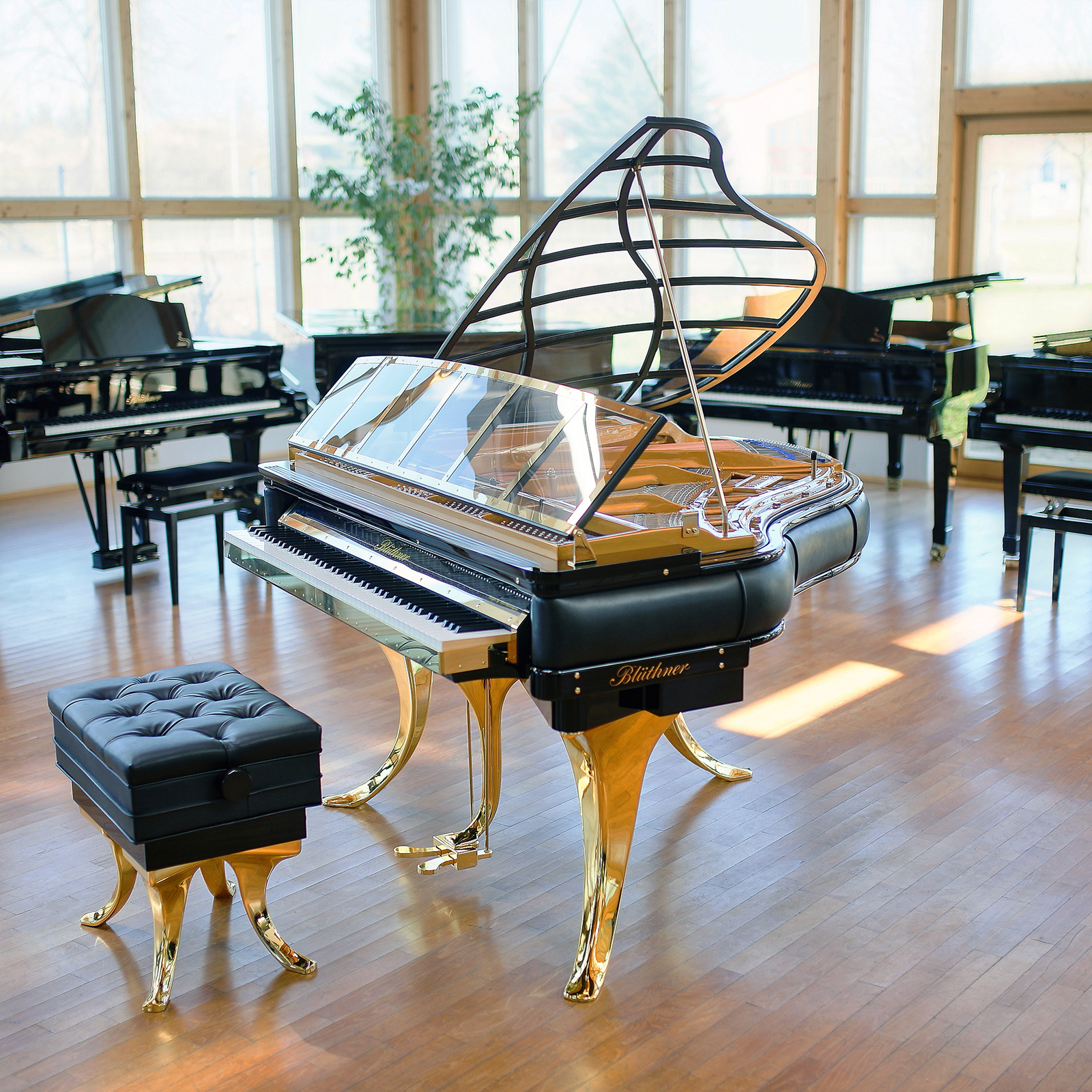 Bluthner PH Edition Grand Piano