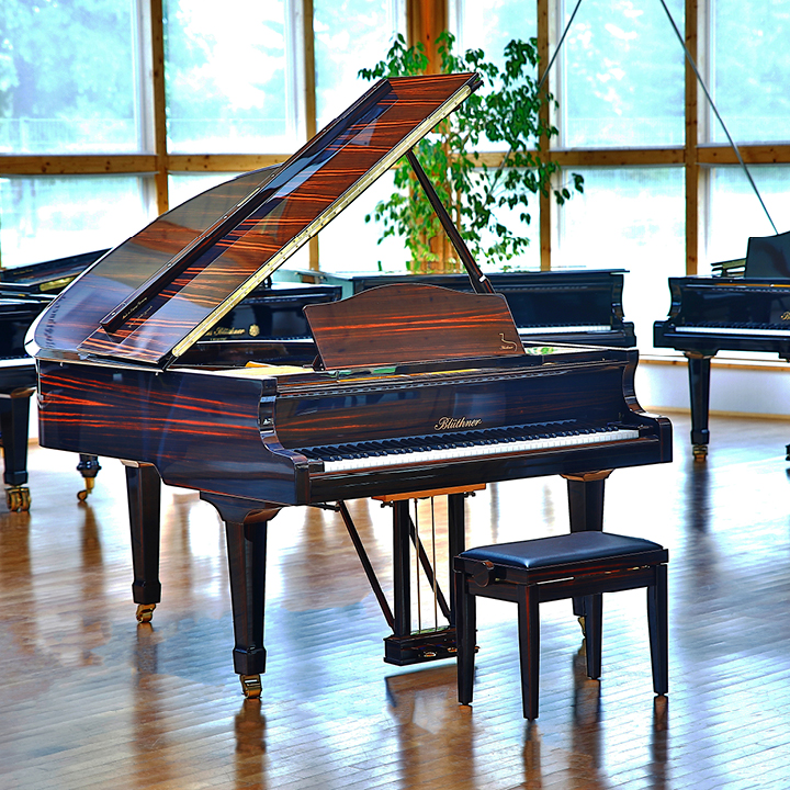 Grand Piano Macassar Polished