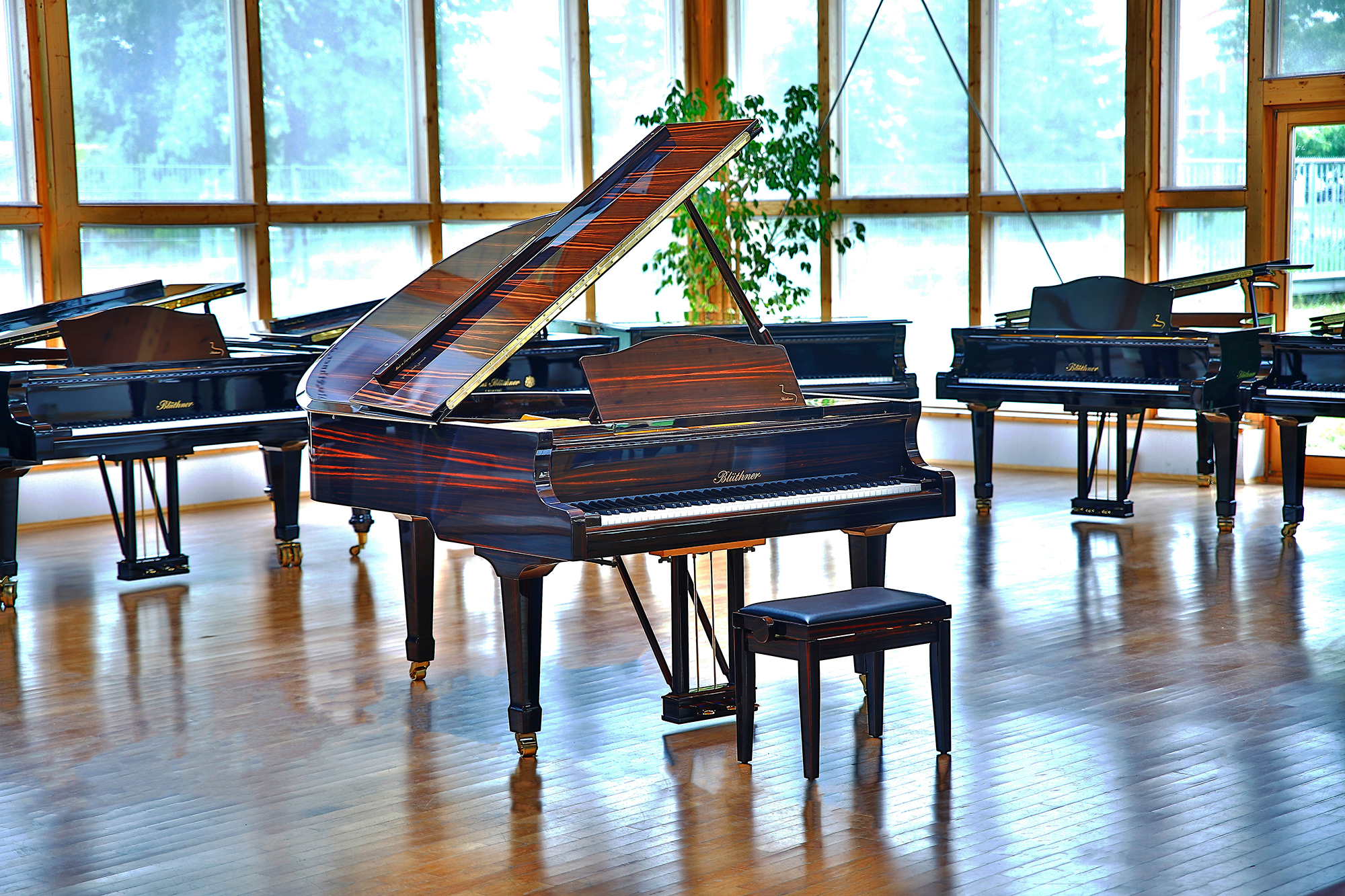 Grand Piano Macassar Polished