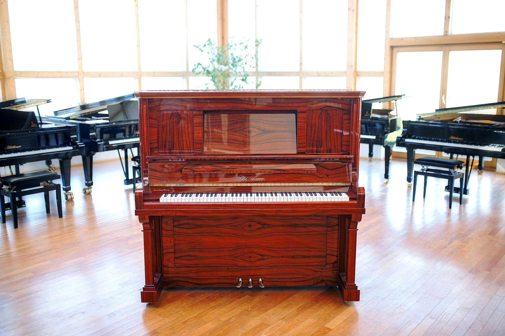 Blüthner Model S Upright Piano Bubinga polished