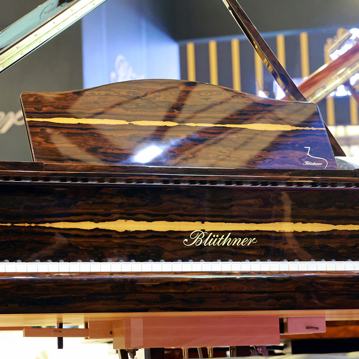 Grand Piano Ziricote Polished