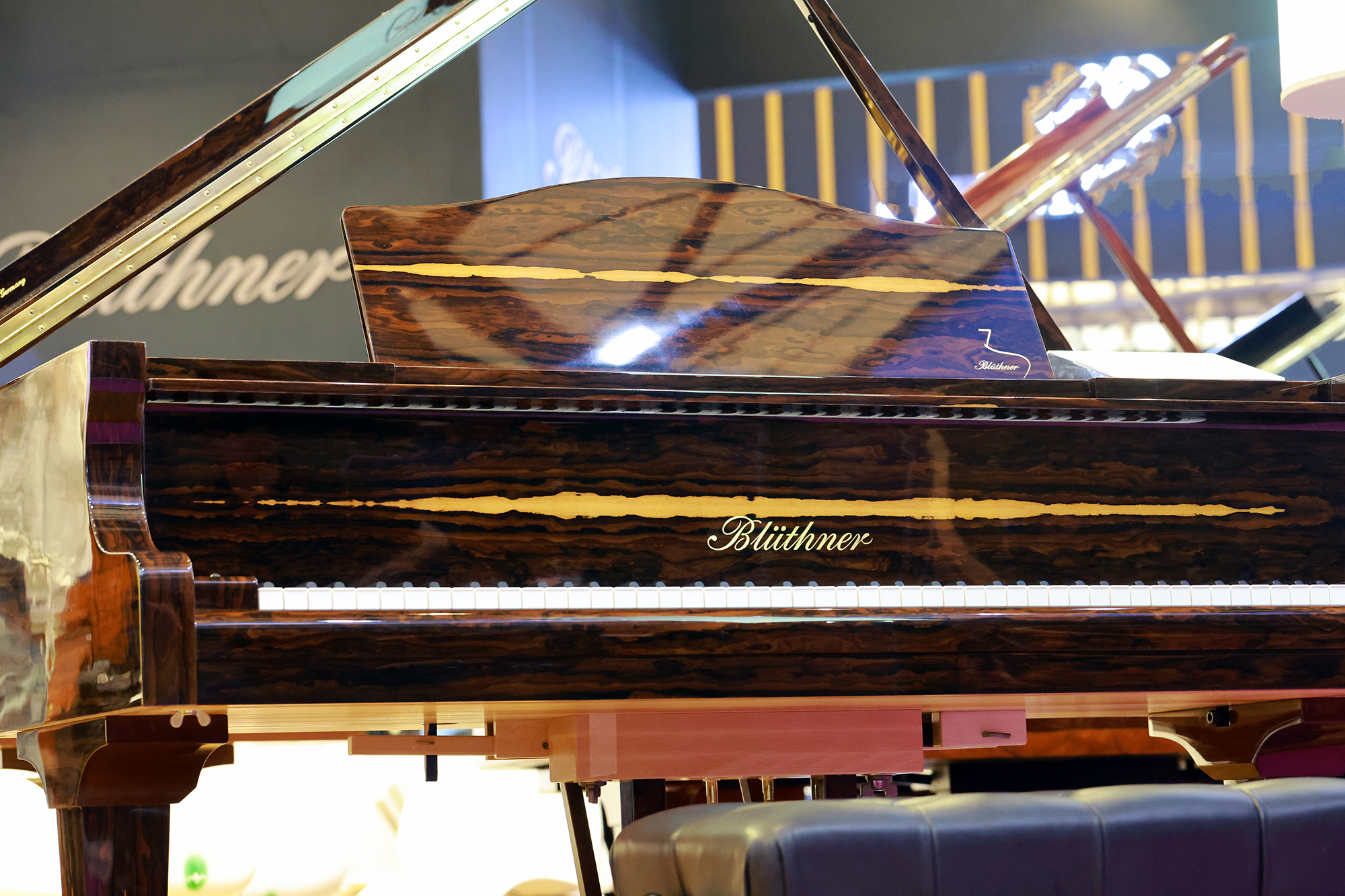 Grand Piano Ziricote Polished